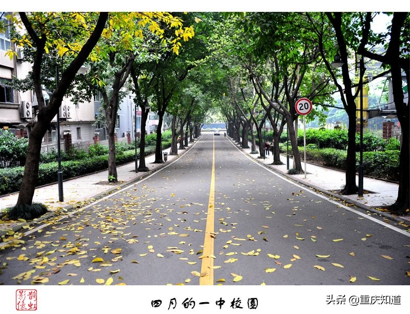 重庆一中名校联合中学,重庆中学十大名校