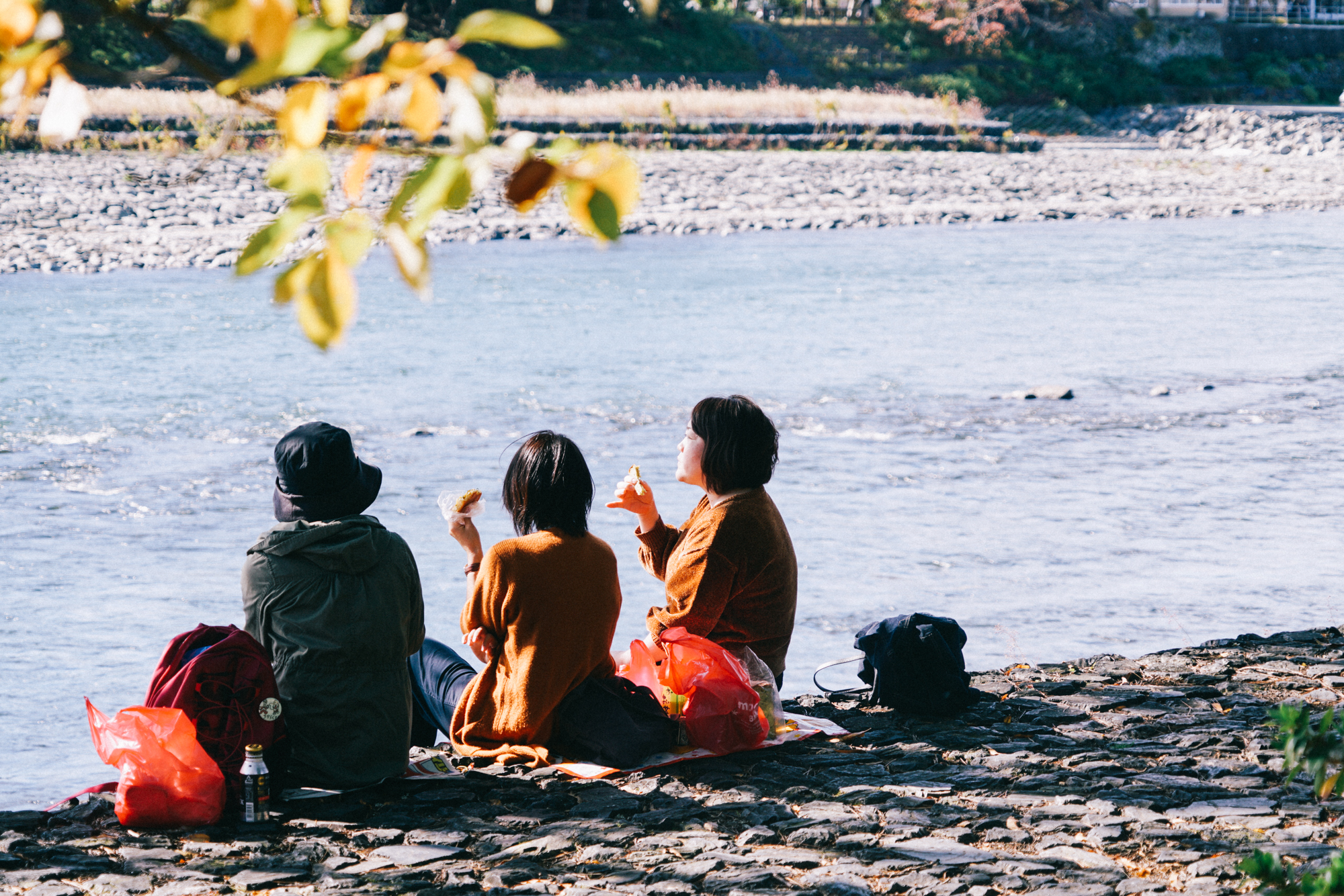 日本京都最值得去的地方,日本京都值得去的地方