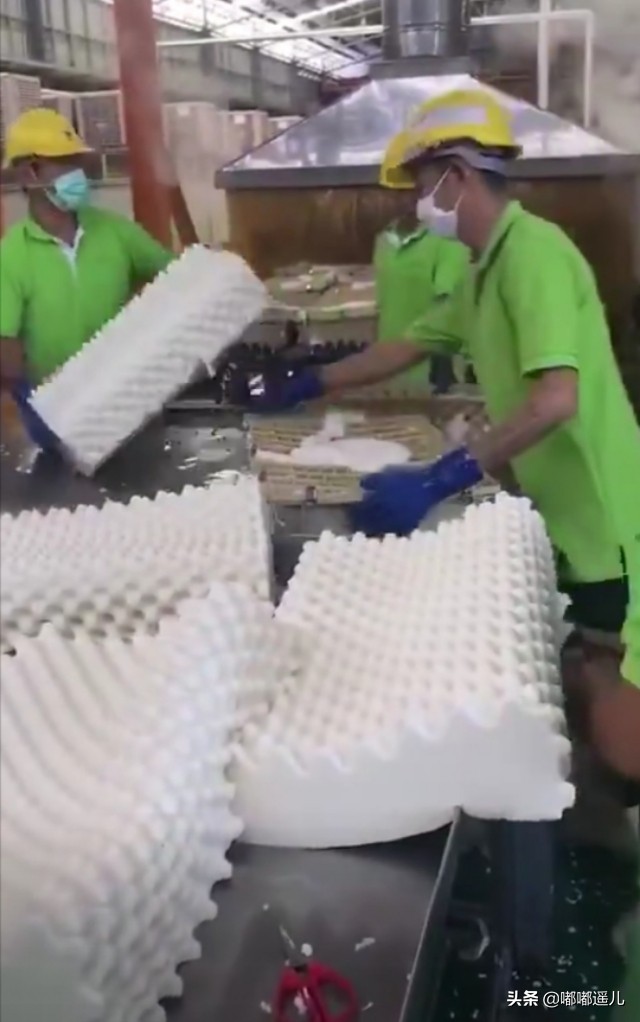 终于知道为啥小鱿鱼喜欢考拉抱啦。。。