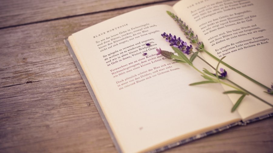 面对陌生客户怎么办,销售拜访高层的谈话技巧