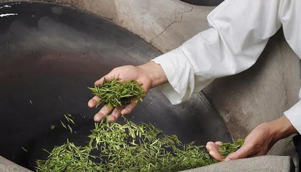 贵州春茶上新,贵州春茶排行榜每一款都鲜气十足