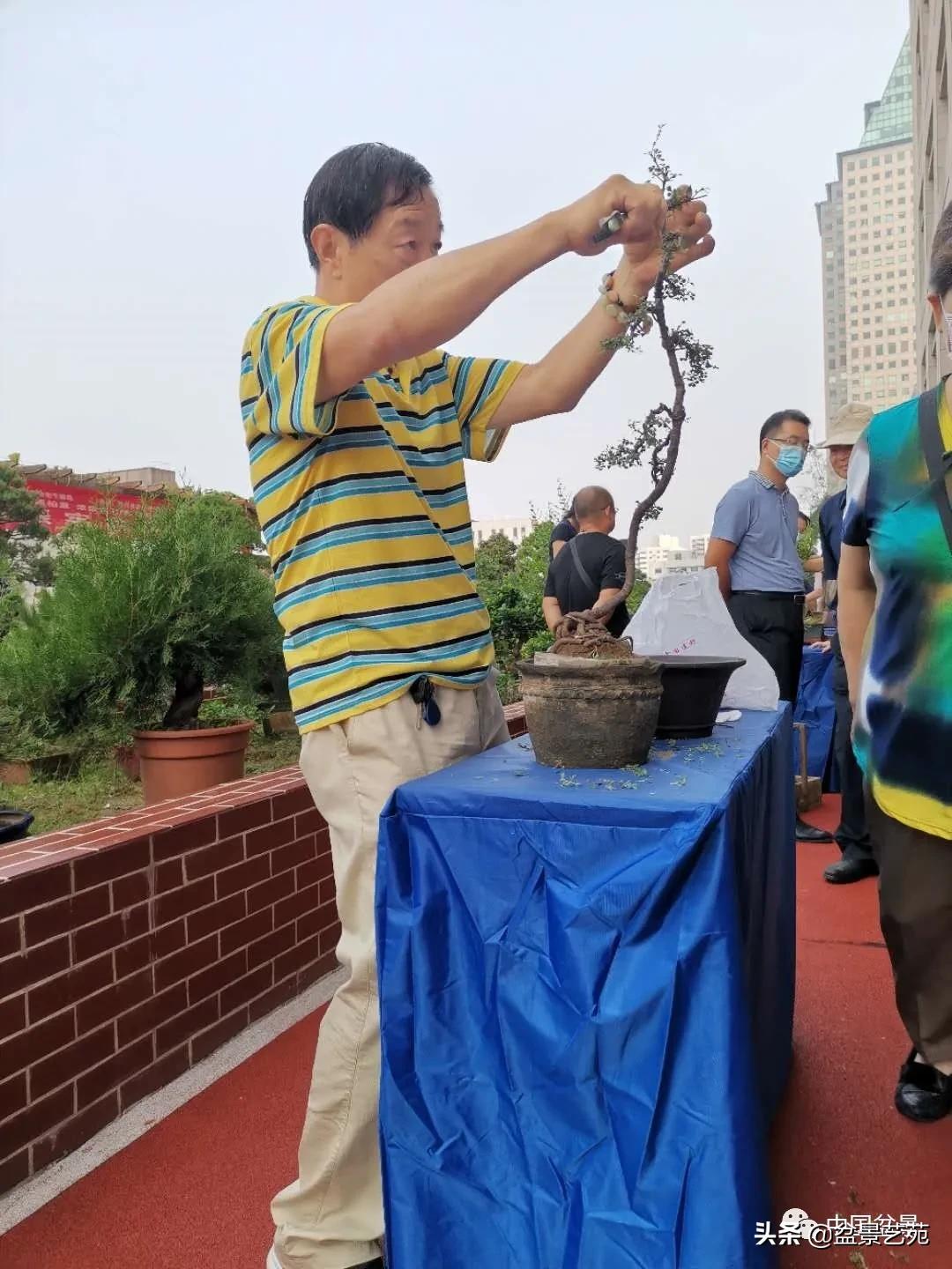 涓浗钁楀悕鐩嗘櫙澶у笀绮惧搧鐩嗘櫙,鐩嗘櫙鑹烘湳瀹跺拰鐩嗘櫙鑹烘湳澶у笀