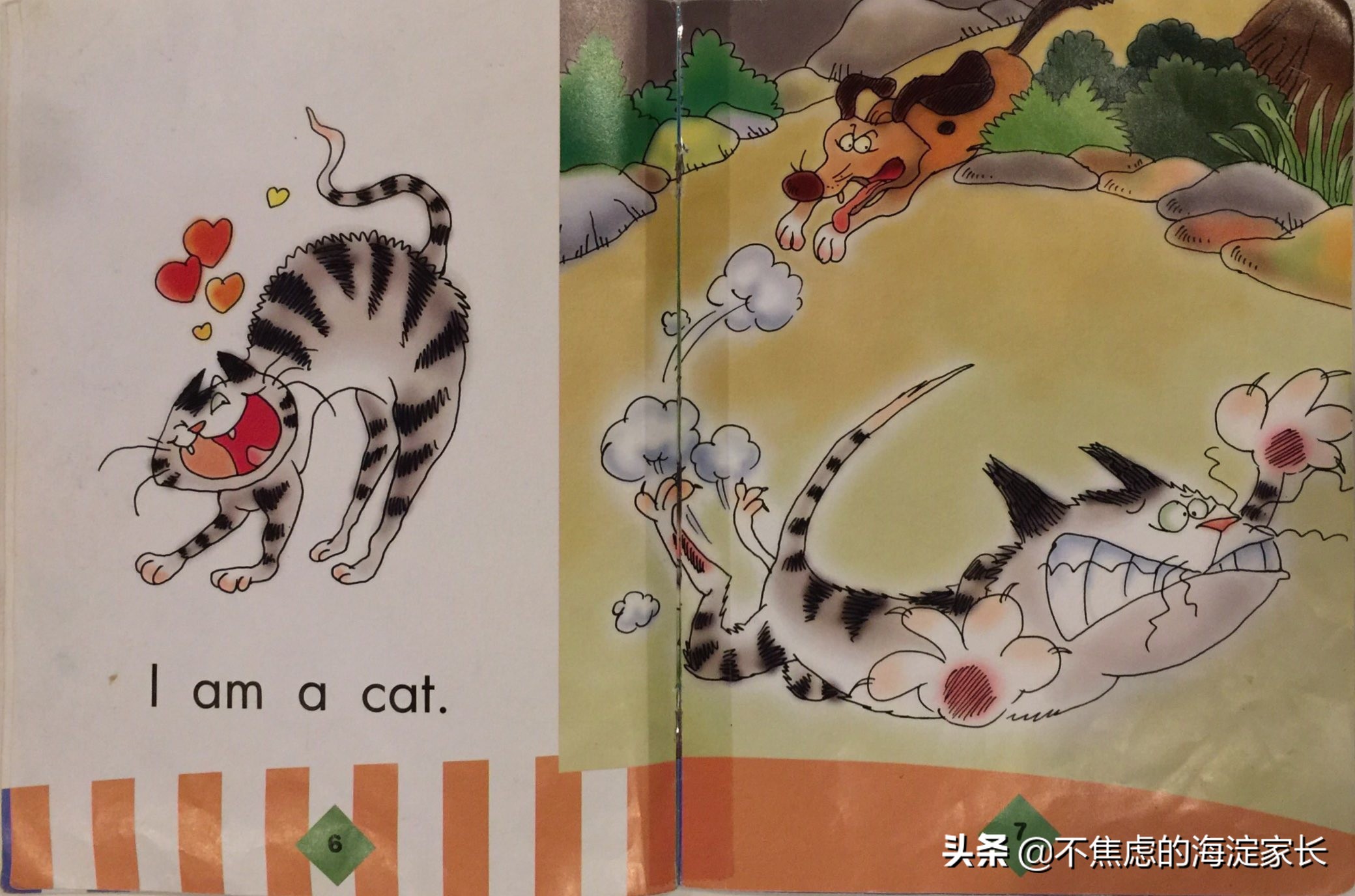 新西兰小学二年级课后读物,新西兰小学阅读书籍