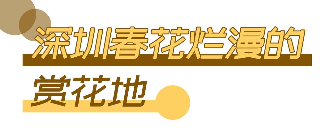 去深圳免费游玩的10个地方,深圳免费游玩景点推荐