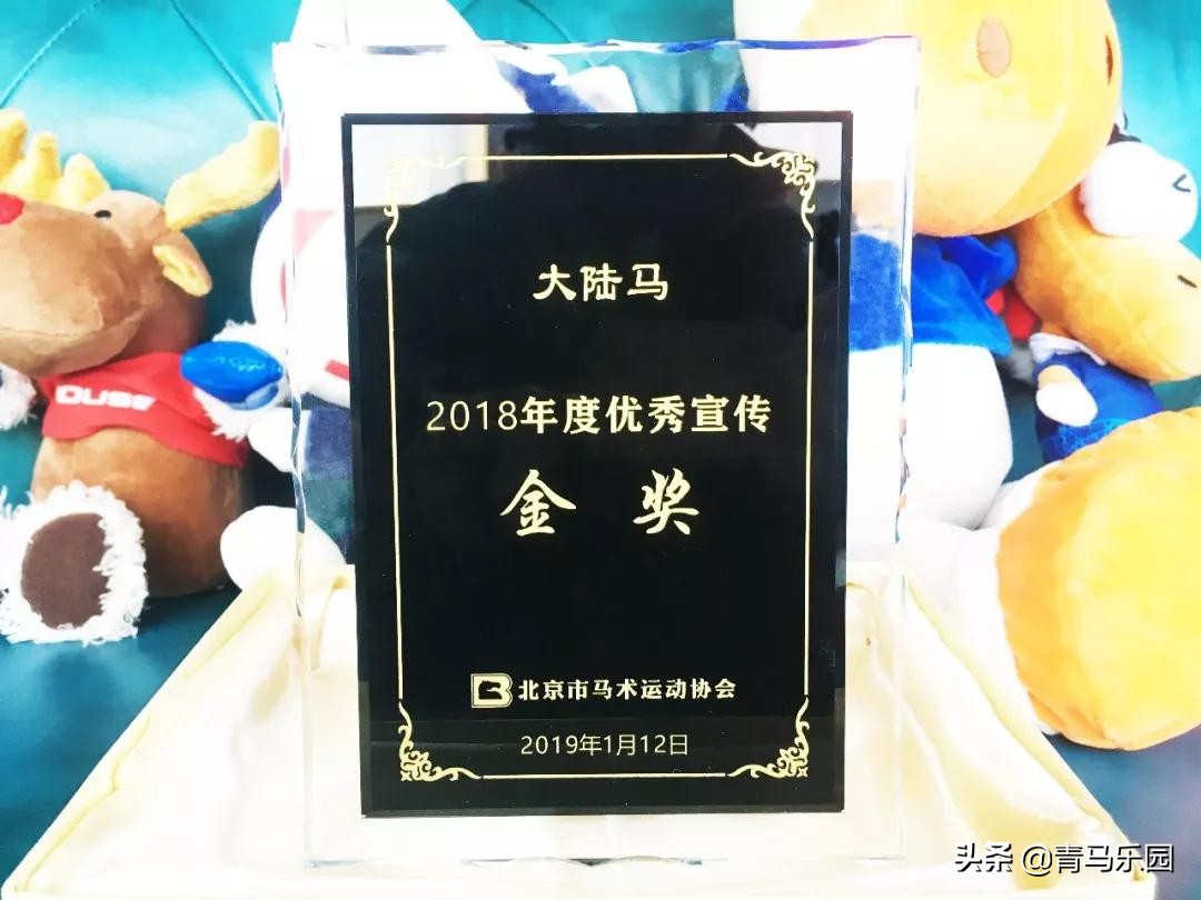 浙江嘉兴市体育局领导一行走访新冠疫情下的九龙山马会俱乐部