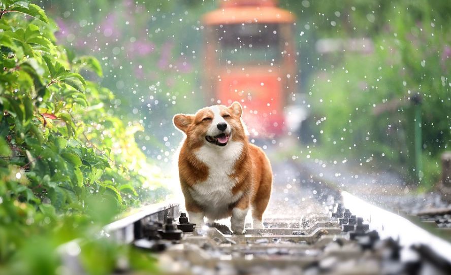 密码清除小工具,pdf密码清除app