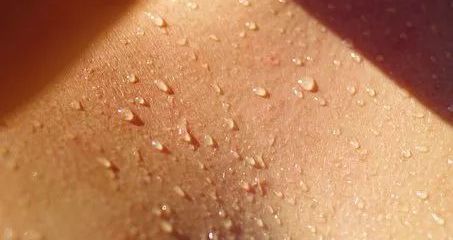 大暑到6种防中暑食物准备好了,大暑防暑温馨提示