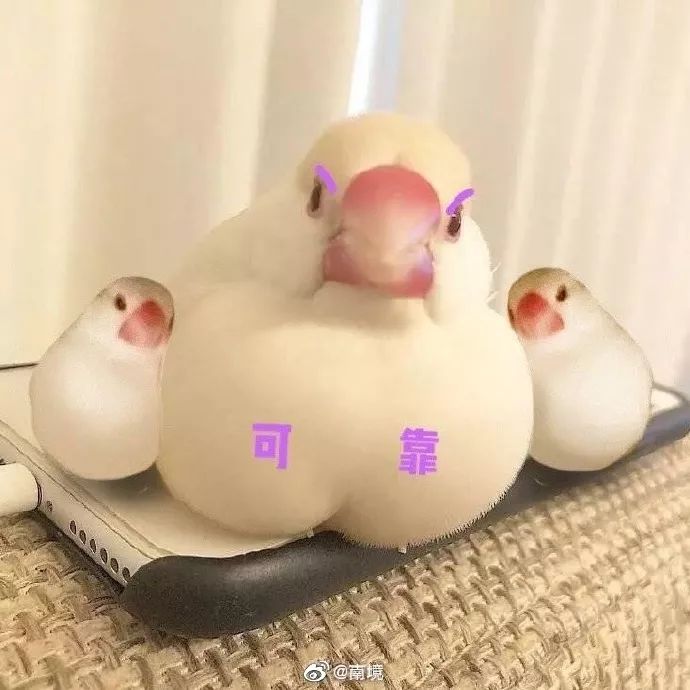 眼部常见问题有哪些,常见眼部问题