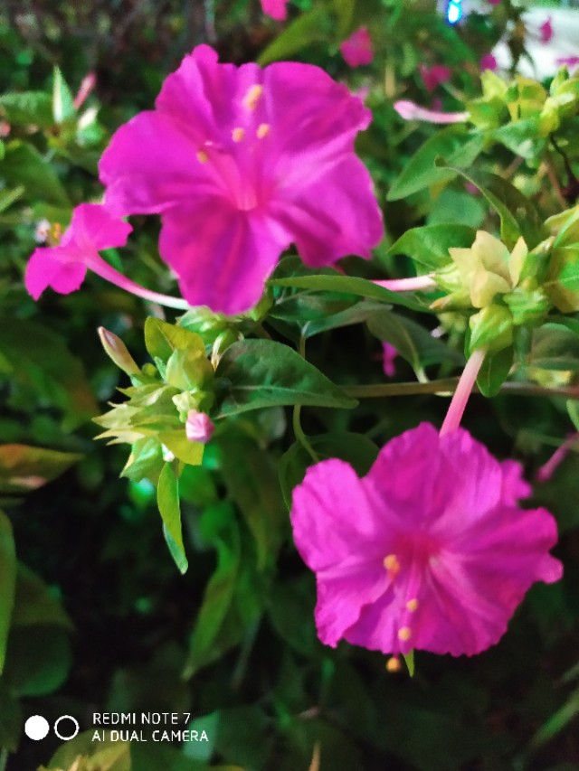 风起云涌的谐音,踏青的谐音