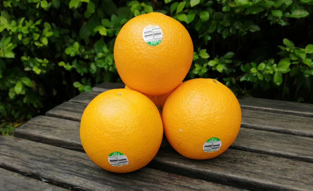 全球十大名橙排名,国内外名橙