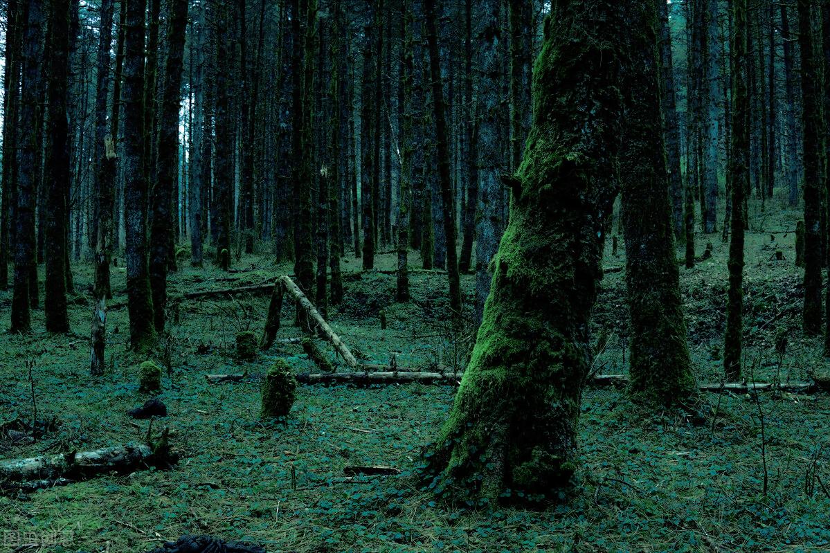 峨眉山舍身崖下金银财宝,峨眉舍身崖未解之谜