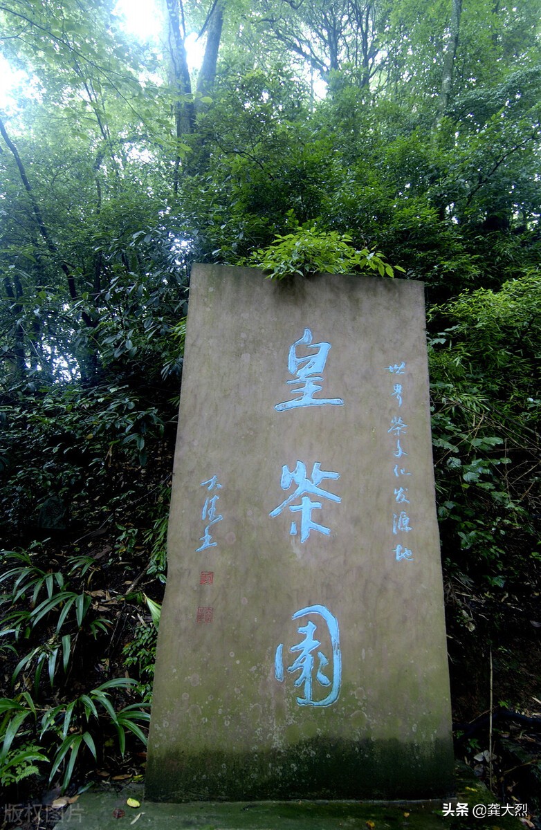 蒙顶山上茶的诗词,蒙顶山上茶什么意思