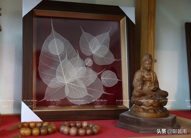 越南那些事,越南那些事完整版