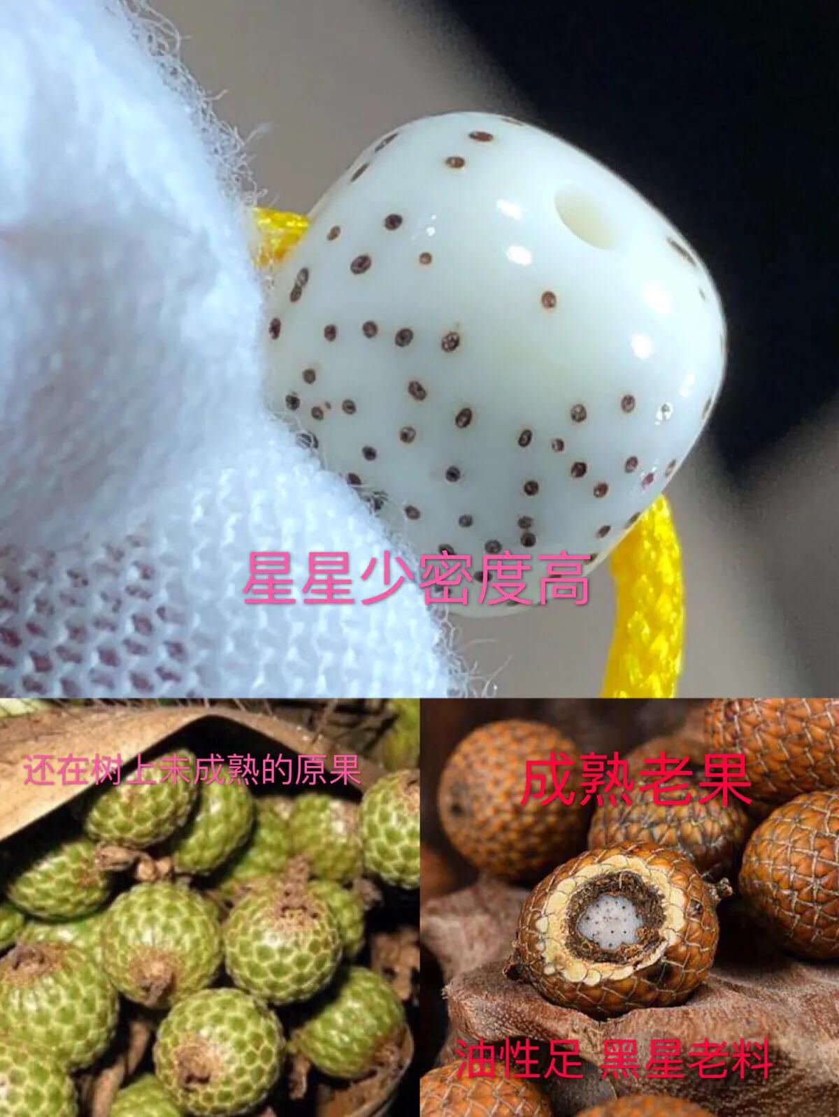 怎样的星月菩提子才值钱,怎样的星月最有盘玩价值