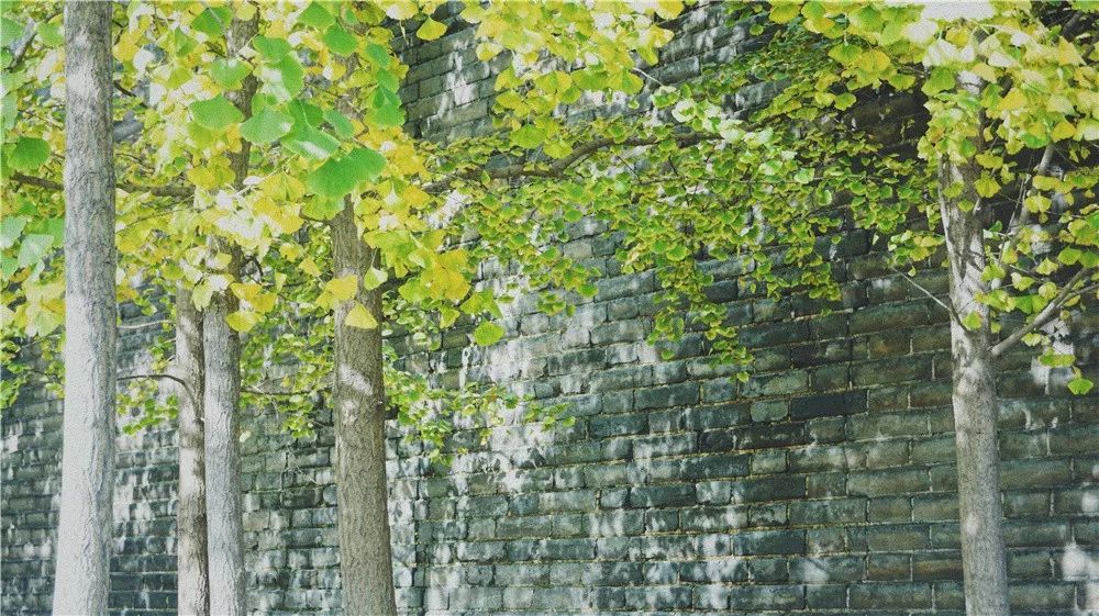 西安八月约会最佳地点,西安周末情侣最适合约会的地方