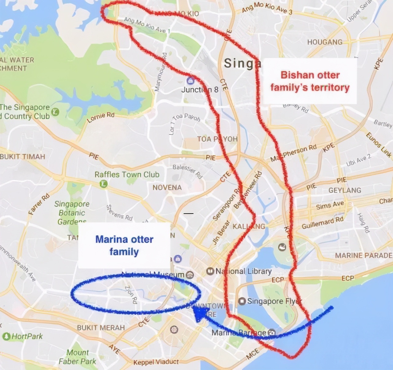 新加坡华人打架斗殴事件,新加坡打架最惨烈的一次