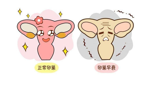 排卵不知道哪一天要去医院检查吗,排卵成功但是不怀孕什么情况