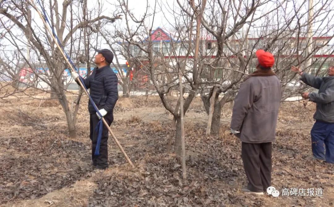 新春走基层年味儿,新春走基层打工人