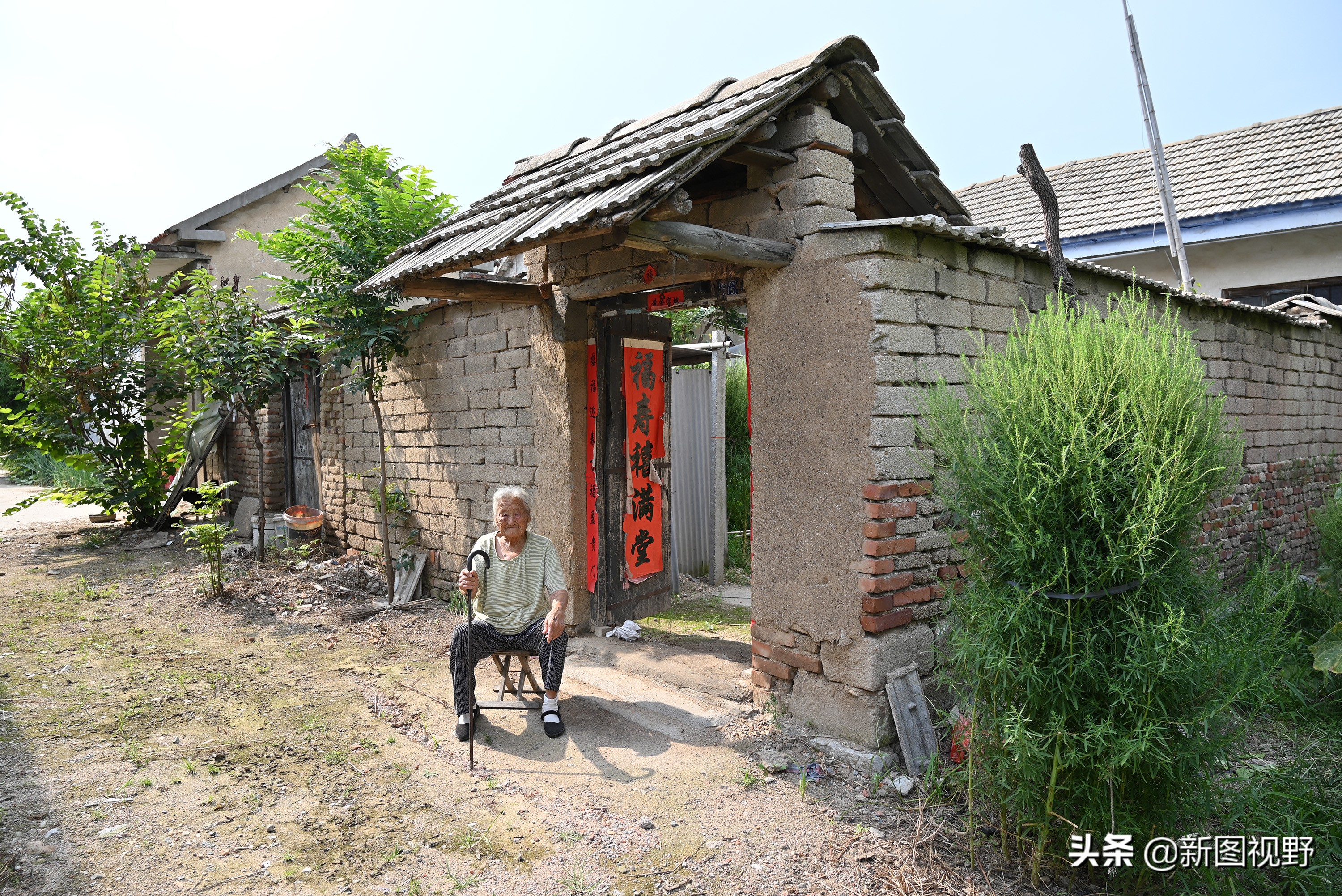 77岁儿子谈长寿经验，100岁母亲插话说出生活秘诀，极具人生智慧