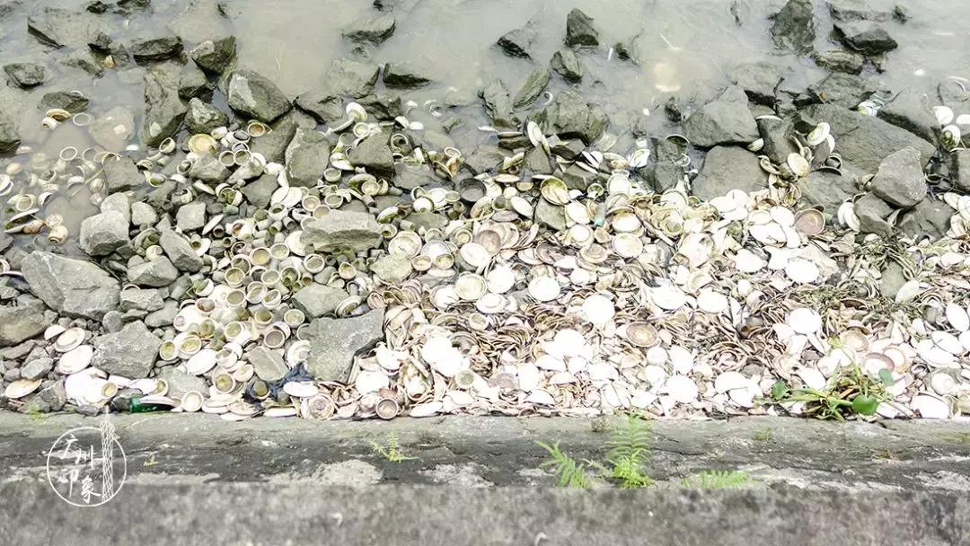 广州隐世峡谷游玩攻略,广州要坐船才能登的小岛