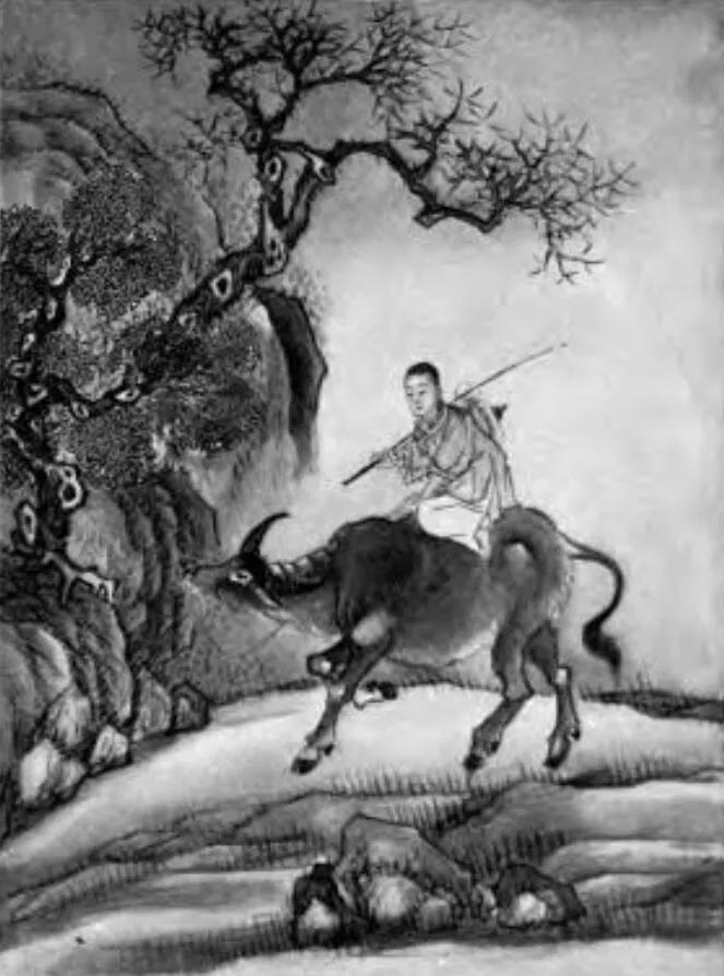 这本130年前献给中国妇女的童话书作者是个精通潮汕话的外国人