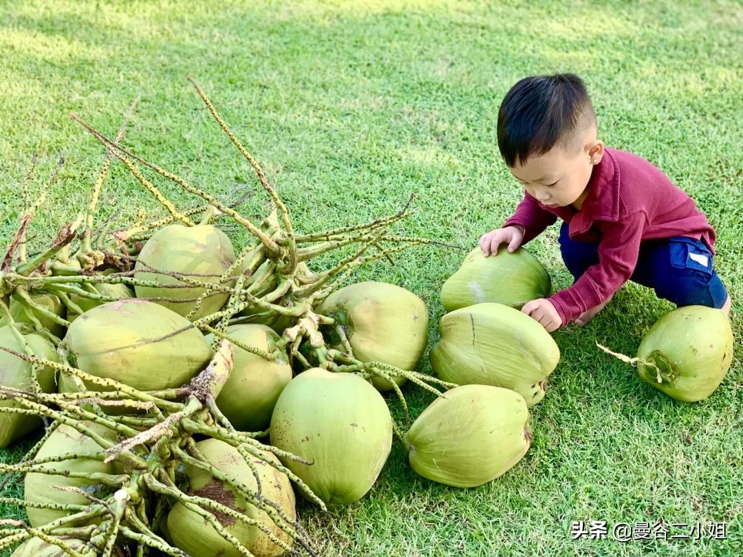 我们又双叒叕搬家了!500㎡泰国深山别墅,清风徐来鸟语花香