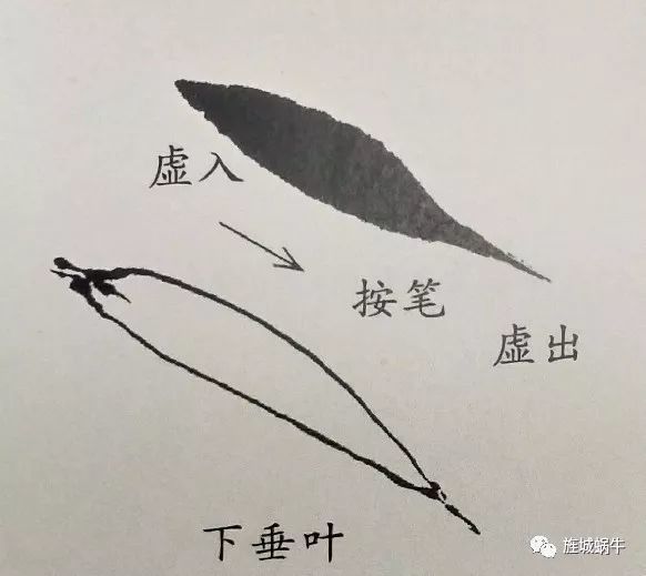 竹叶的画法模板,竹叶的钢笔画法