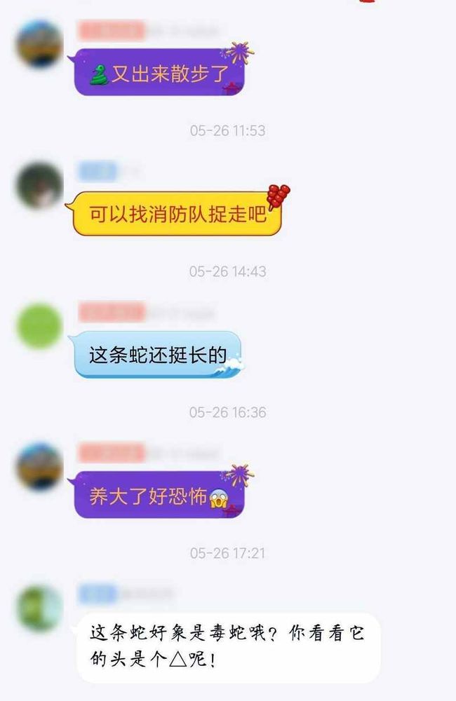 成都网友投诉怡丰新城小区榕树成灾危及行人，高新管委会回应