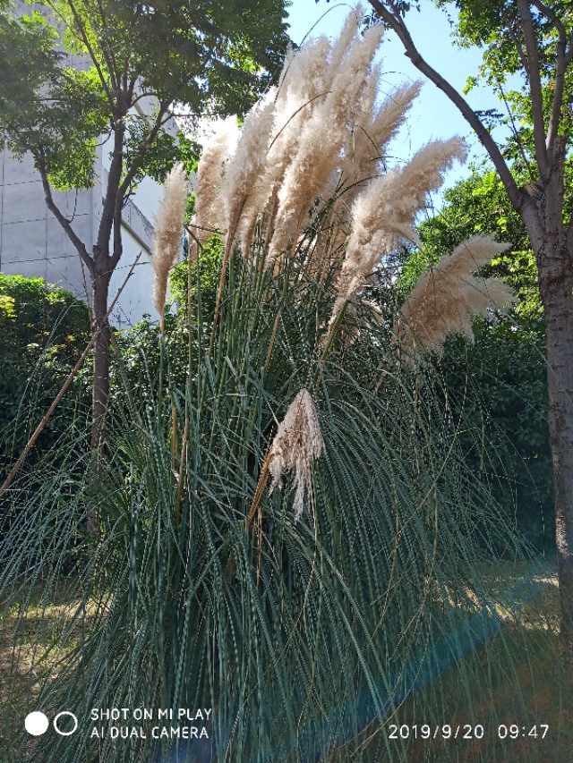 一路秋色,一路秋色一路景