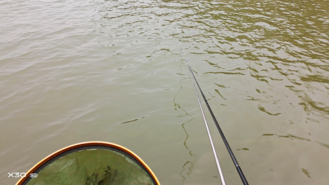 石鲮鱼在什么河水位置好钓,石鲮鱼在哪里钓