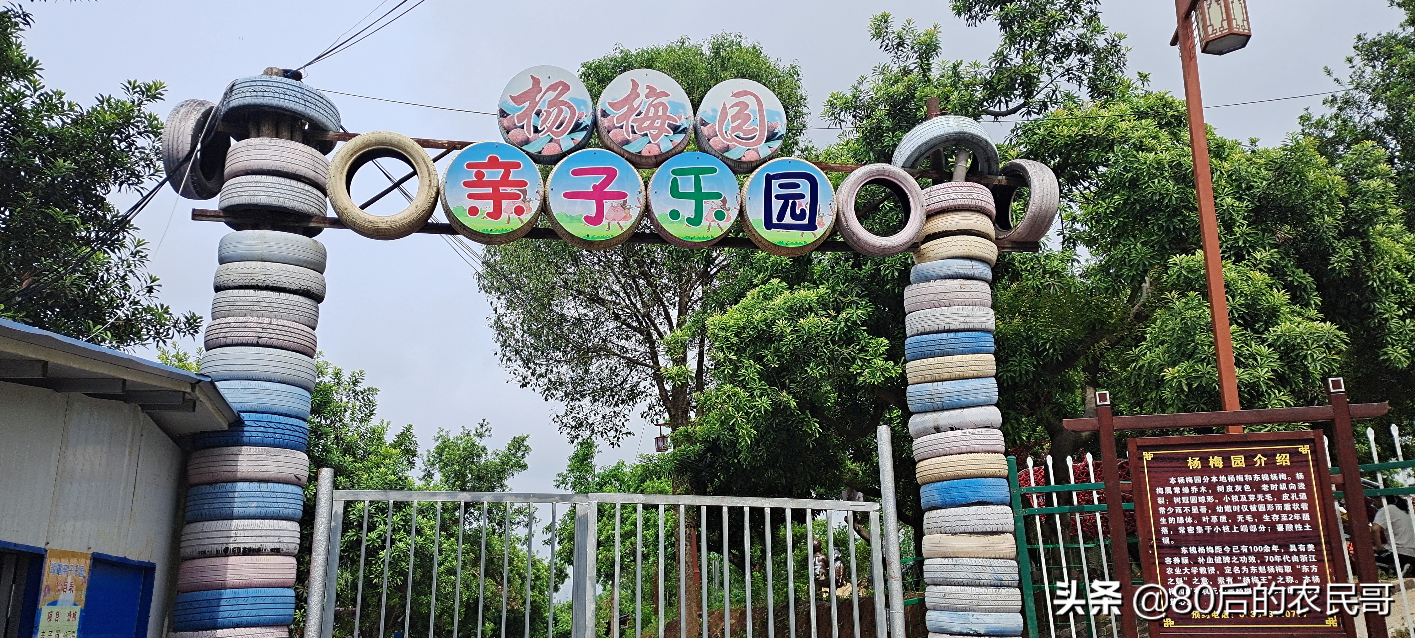 农家乐里的废物变废为宝,农业废物的处理和利用方法