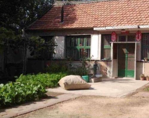 农村院子是混凝土地面，夏天会很热，你可以用这些方法来“降温”