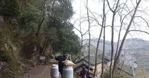 农村十大不起眼的暴利行业,10个农村冷门赚钱项目