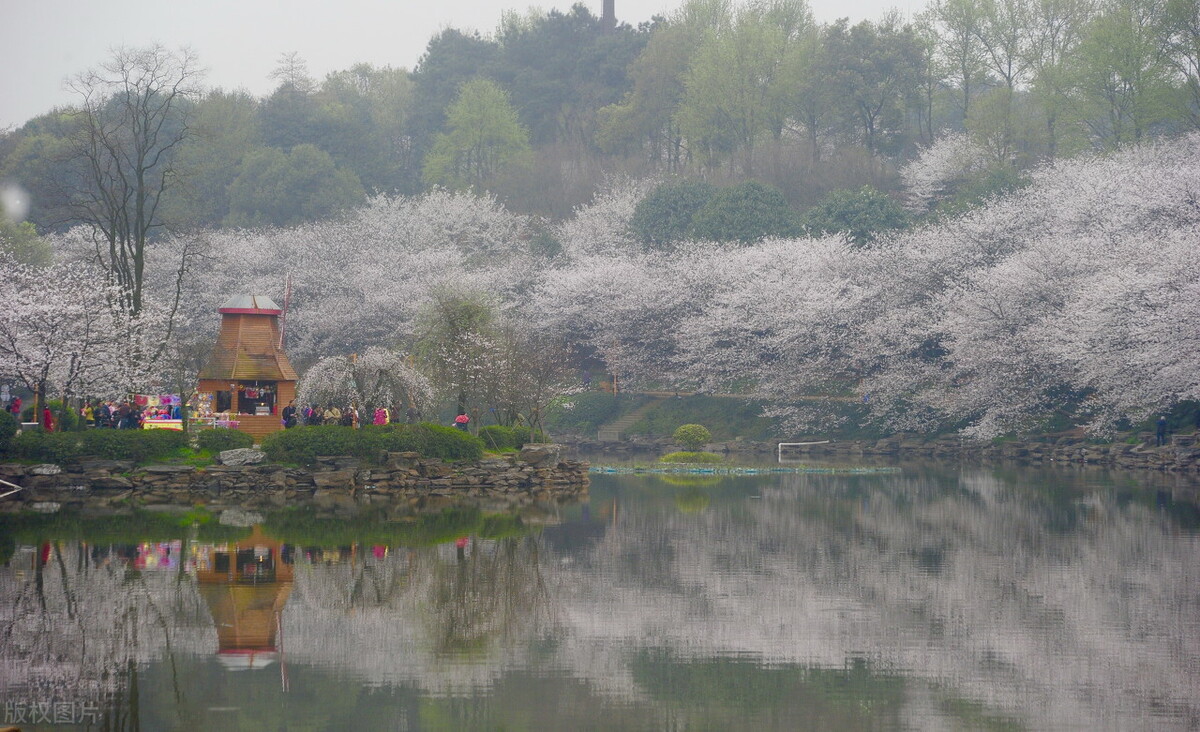 长沙本地一日游,长沙一日游价格