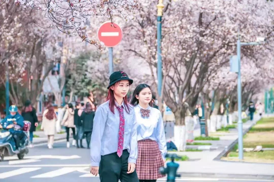 全国十大奇葩高校,奇葩高校盘点