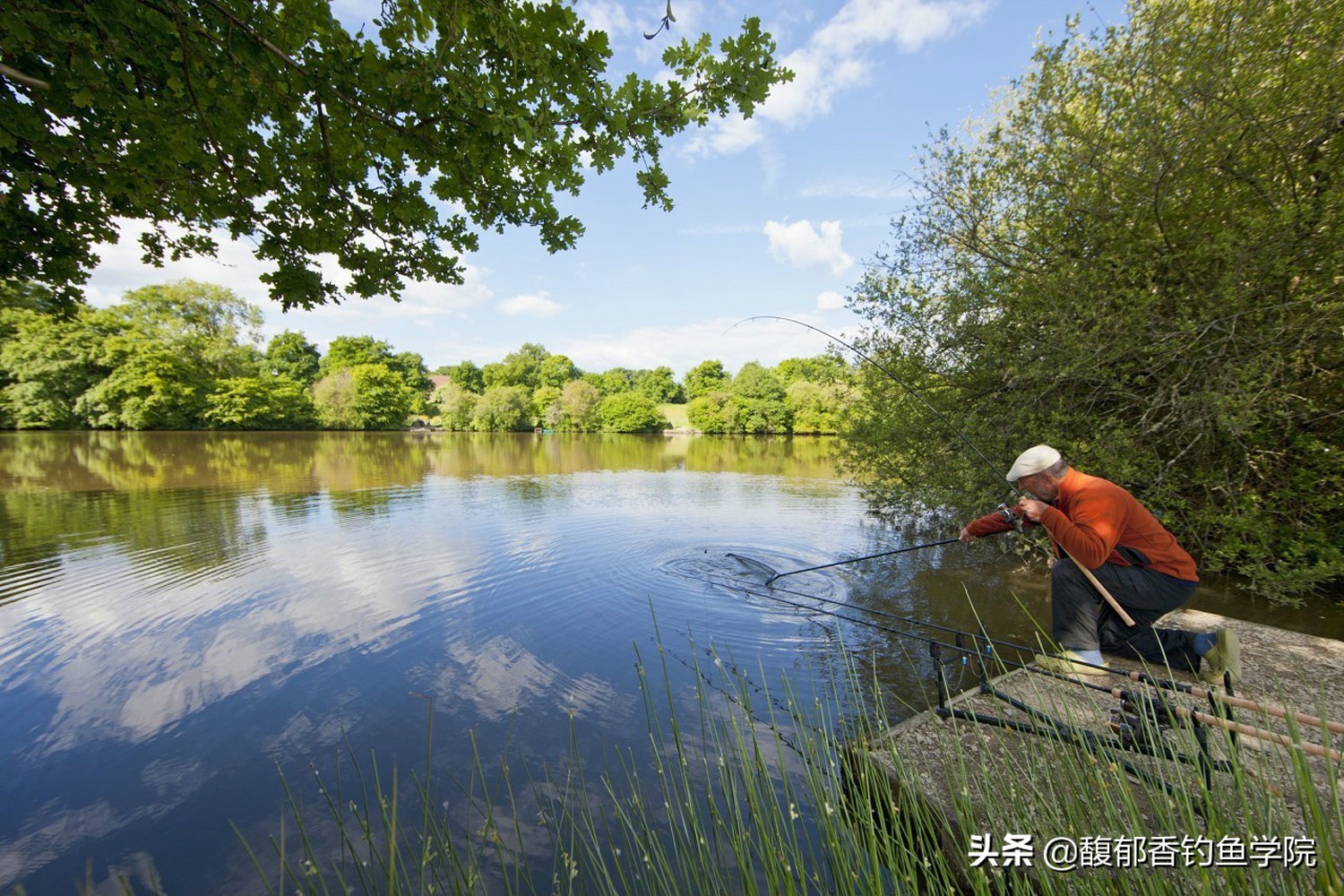 麝香鱼饵中麝香是真麝香么,麝香酒麝香液麝香水有什么区别吗