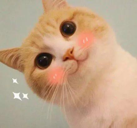 荒野健康：请问女性经期可以健身吗？经期健身有什么要注意的？