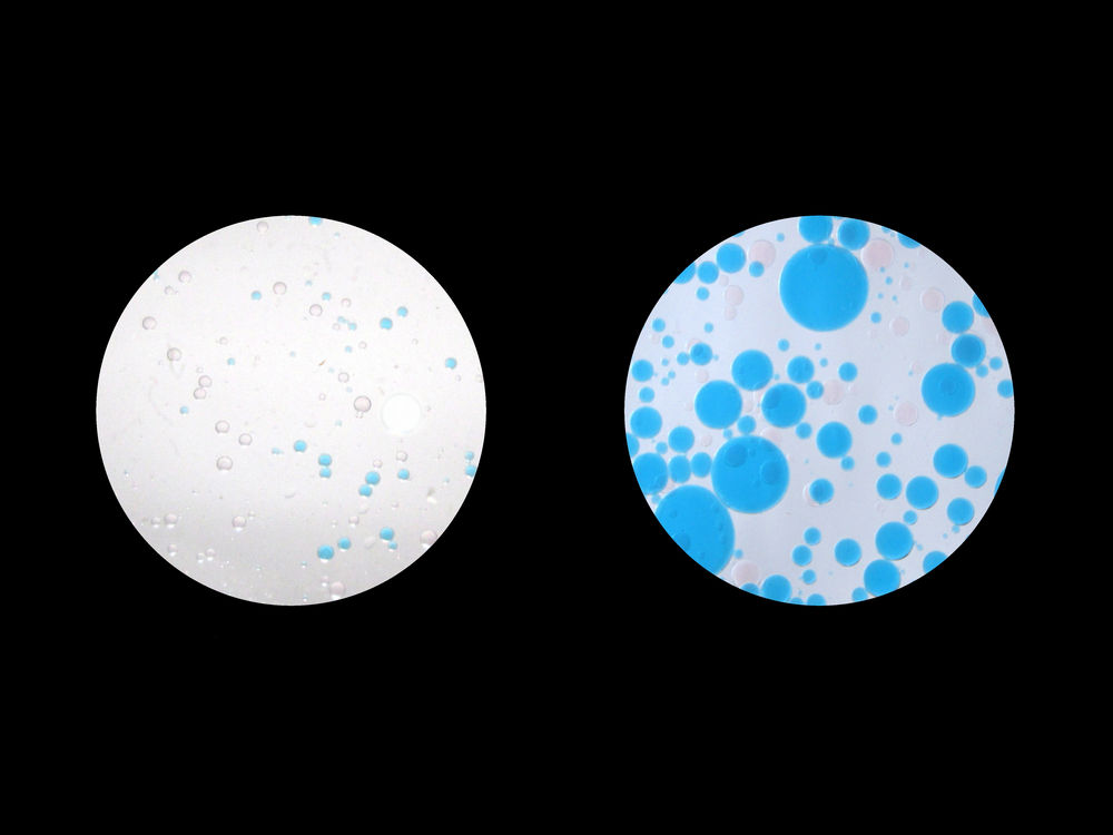 生物学中显微镜的知识点,生物中显微镜的相关知识