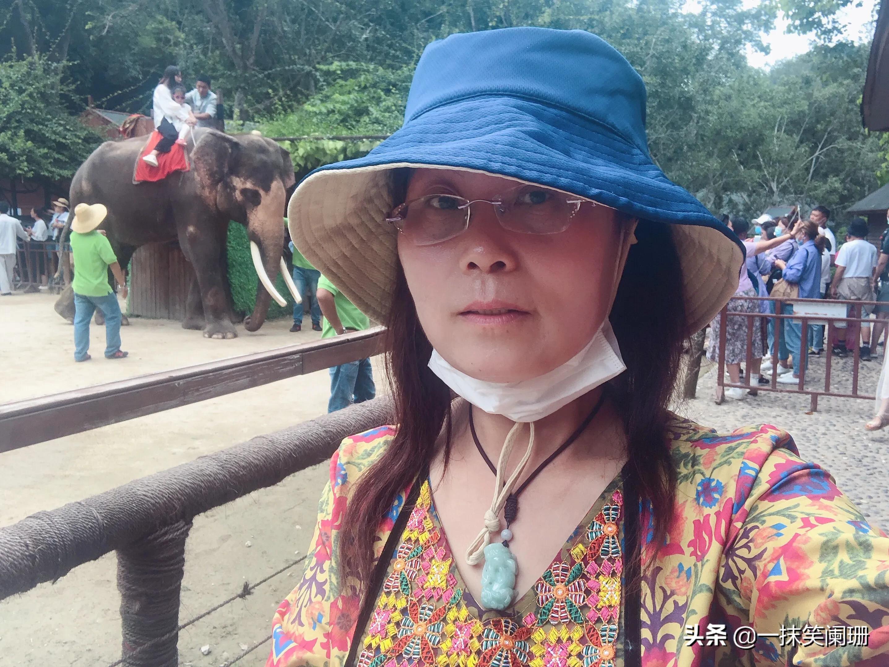 西双版纳野象谷大象表演,西双版纳野象谷大象表演现场视频