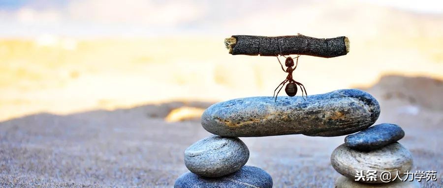 早起打卡签到哪个好用,早起签到赚钱