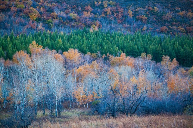 坝上三大景点,坝上草原是丰宁还是围场的
