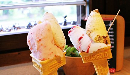 旭川机场,旭川机场到东京机场