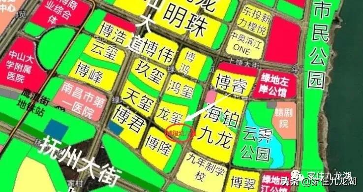 九龙湖幼儿园推荐,九龙湖幼儿园