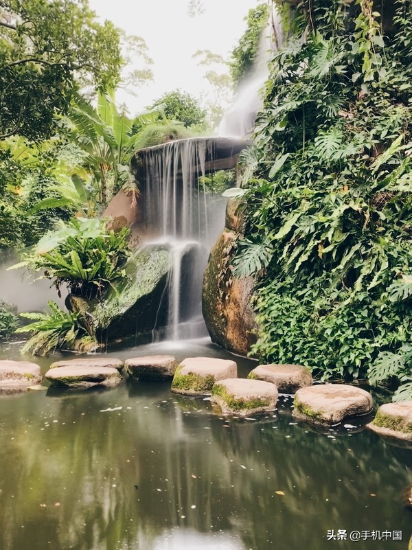 苹果手机拍照获奖作品,怎么用好手机拍照的专业功能