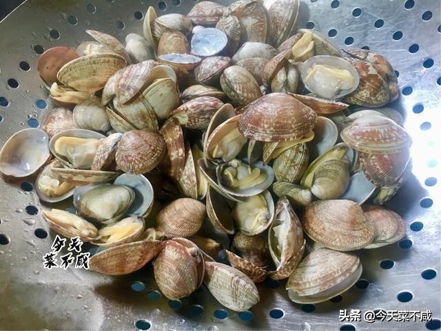 花蛤吐沙放香油是真的吗,花蛤怎么吐沙干净放香油