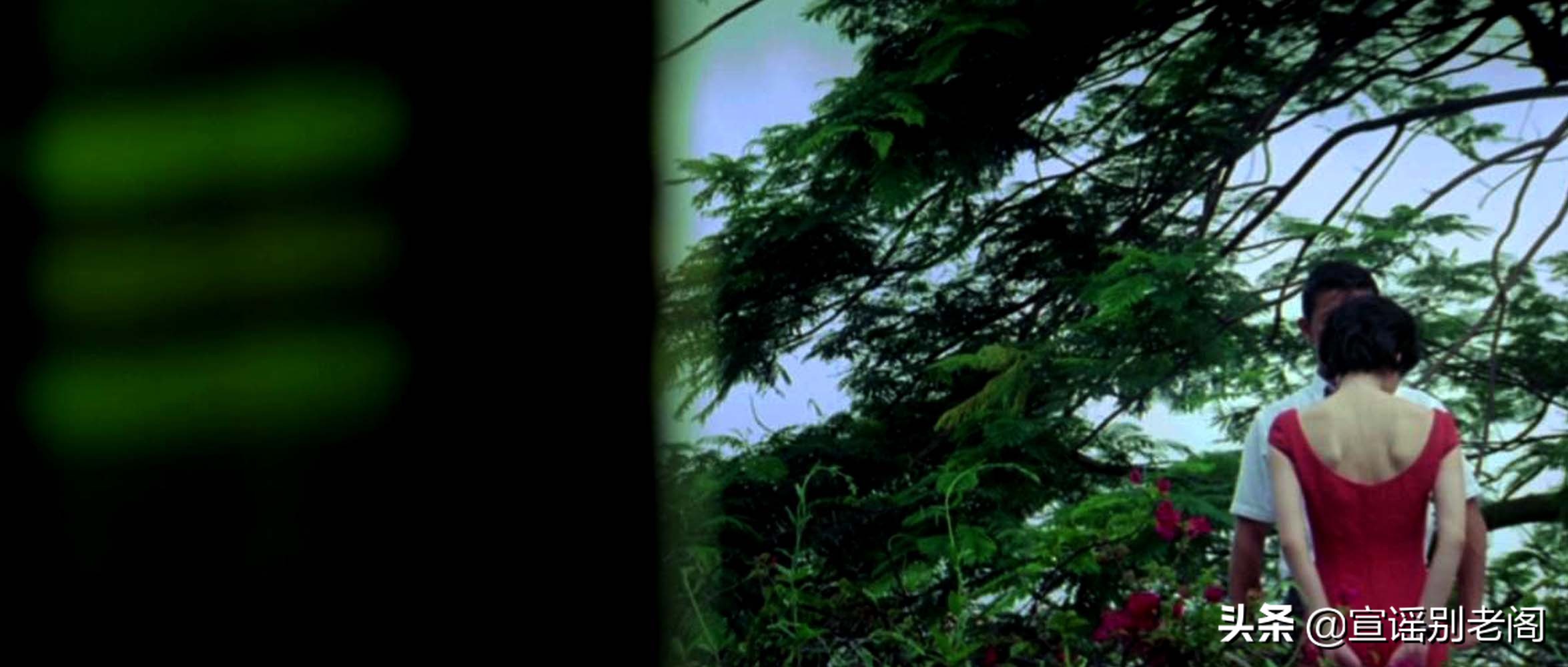 窦靖童为什么和木村拓哉拍广告,木村拓哉窦靖童飚舞lonely