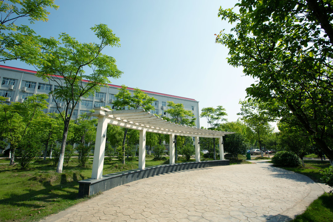 高职3+2本科联合培养社会认可吗,高考本科和专科联合培养好不好