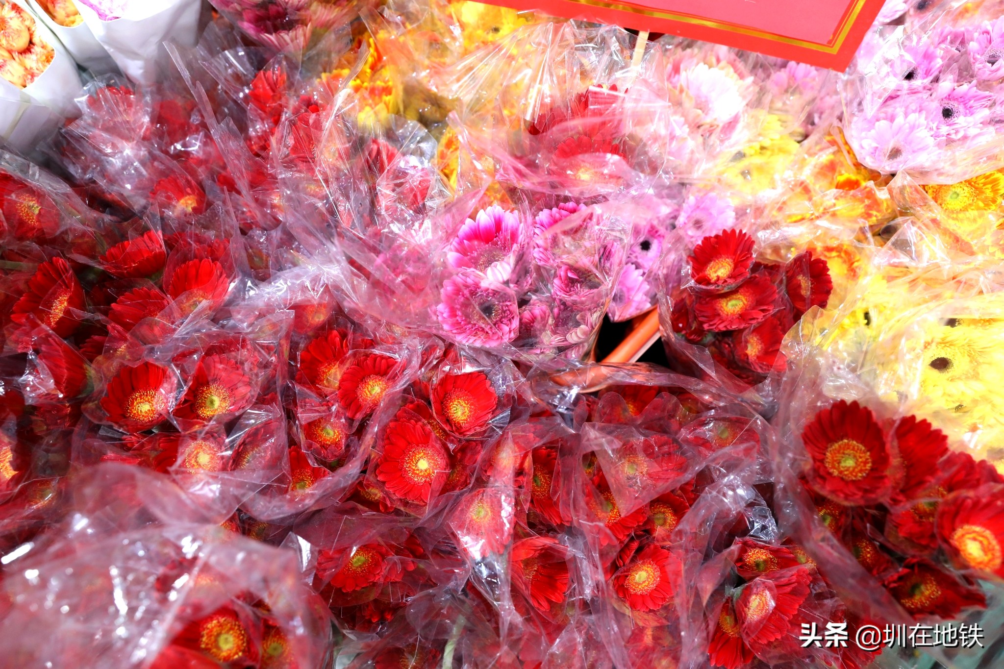 乘坐地铁到滘口花卉市场,从地铁到花卉市场