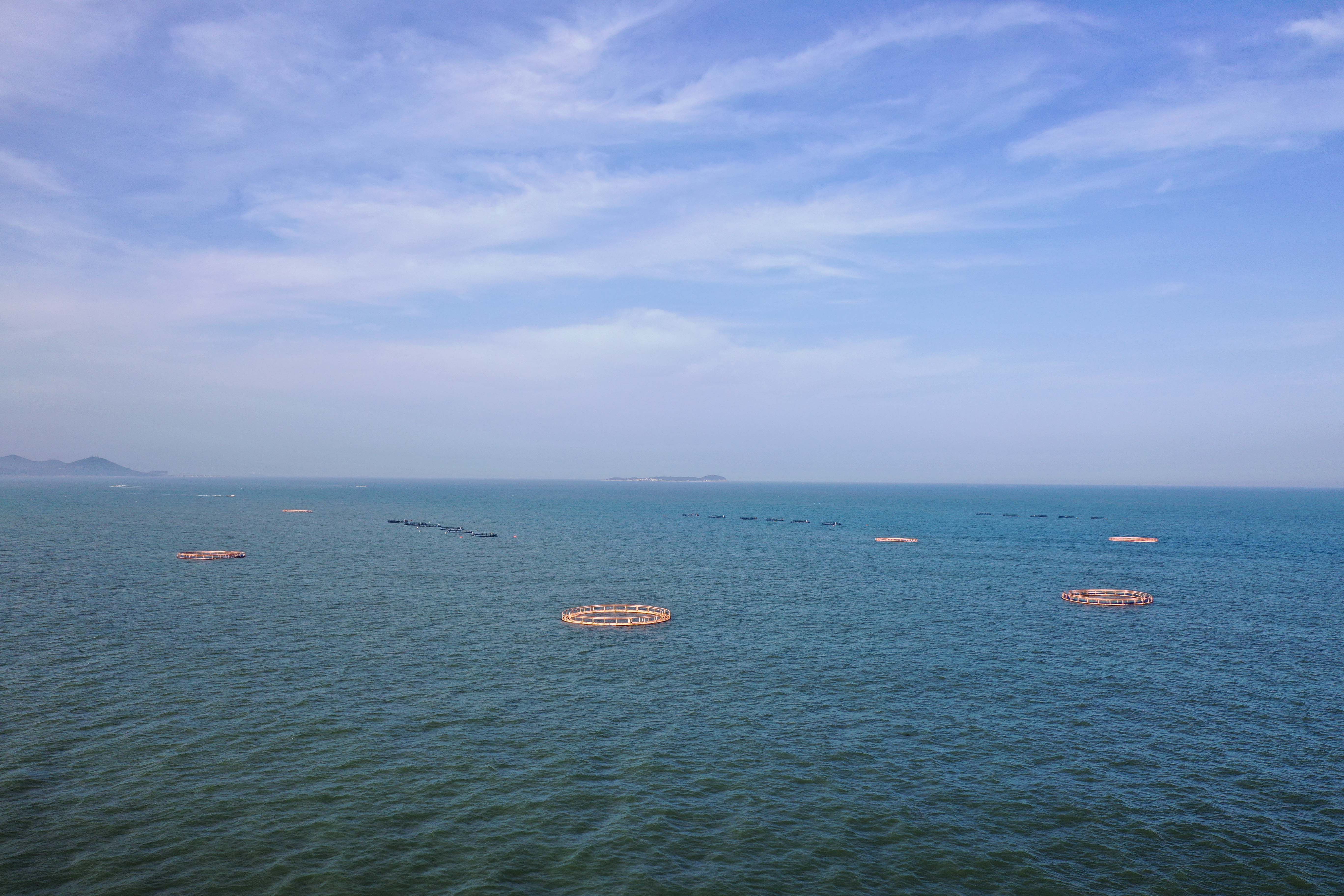 开发区鲁海丰海洋牧场是几星,青岛鲁海丰海洋牧场