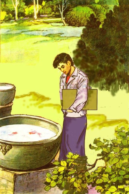 不同年代的小学课文插图,小学课文插图还记得多少